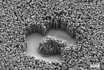 Enlarged view: Nanowires
